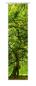 Preview: Flächenvorhang Mystic Moment, Schiebevorhang, Schiebegardine, modern, 60 cm breit, 2,65 m hoch, 3 m hoch
